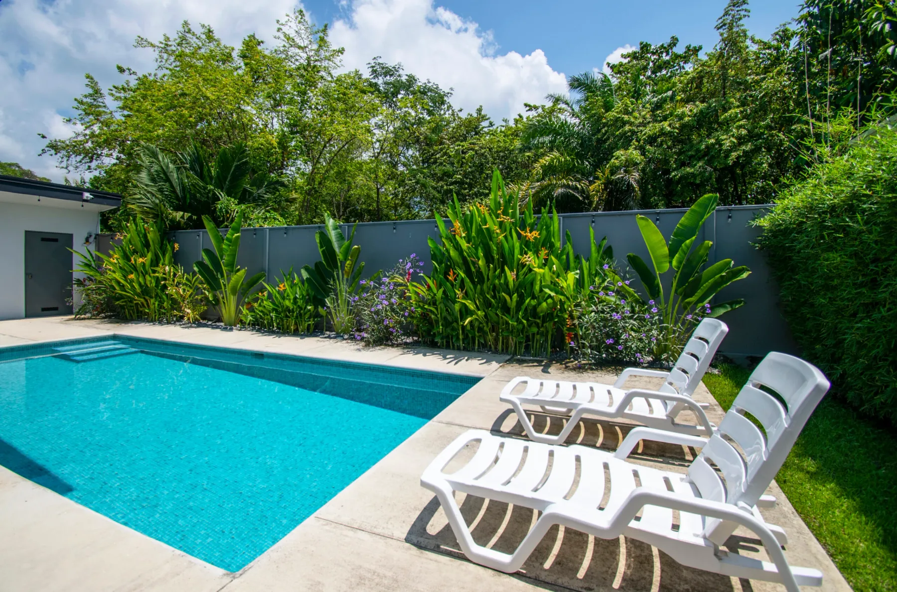An outdoor swimming pool beside white lounge seating and tropical greenery.
