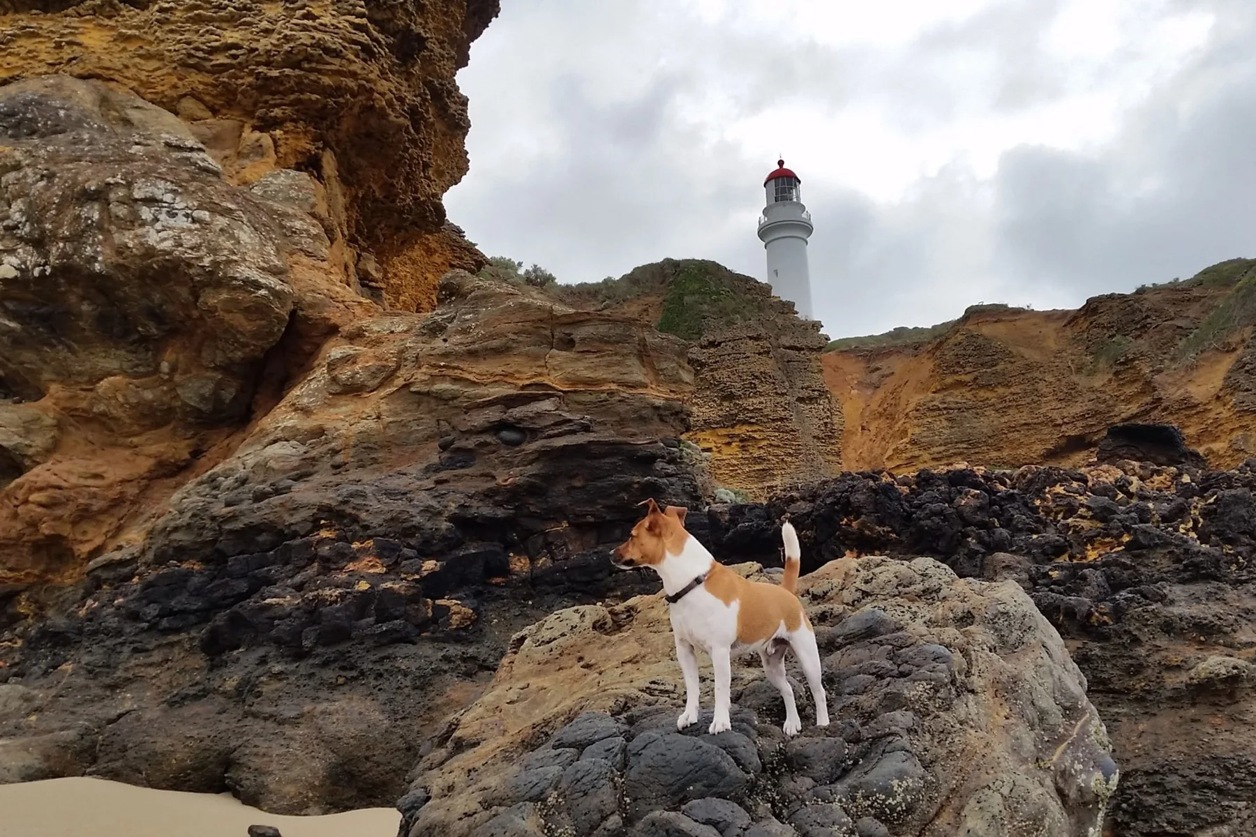 Nearby coast and lighthouse — not a view from the house
