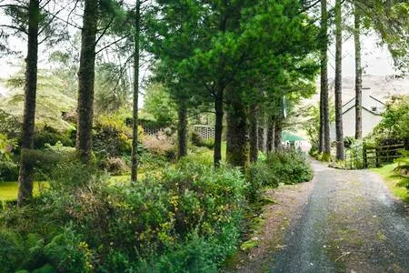 Un camino arbolado atraviesa un jardín frondoso.