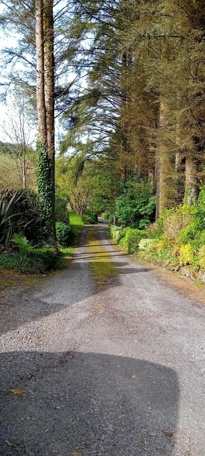 Barnesmore Cottage with views (Dog Friendly)