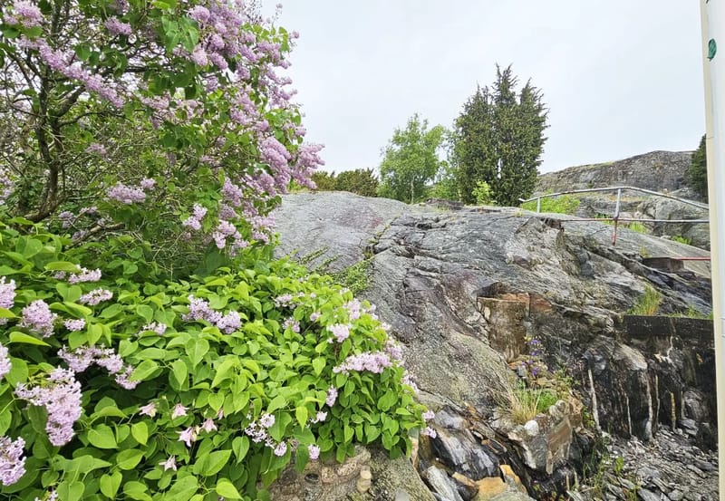 Casa en Skärhamn - Apartamento cerca del mar en Skärhamn | SE09178