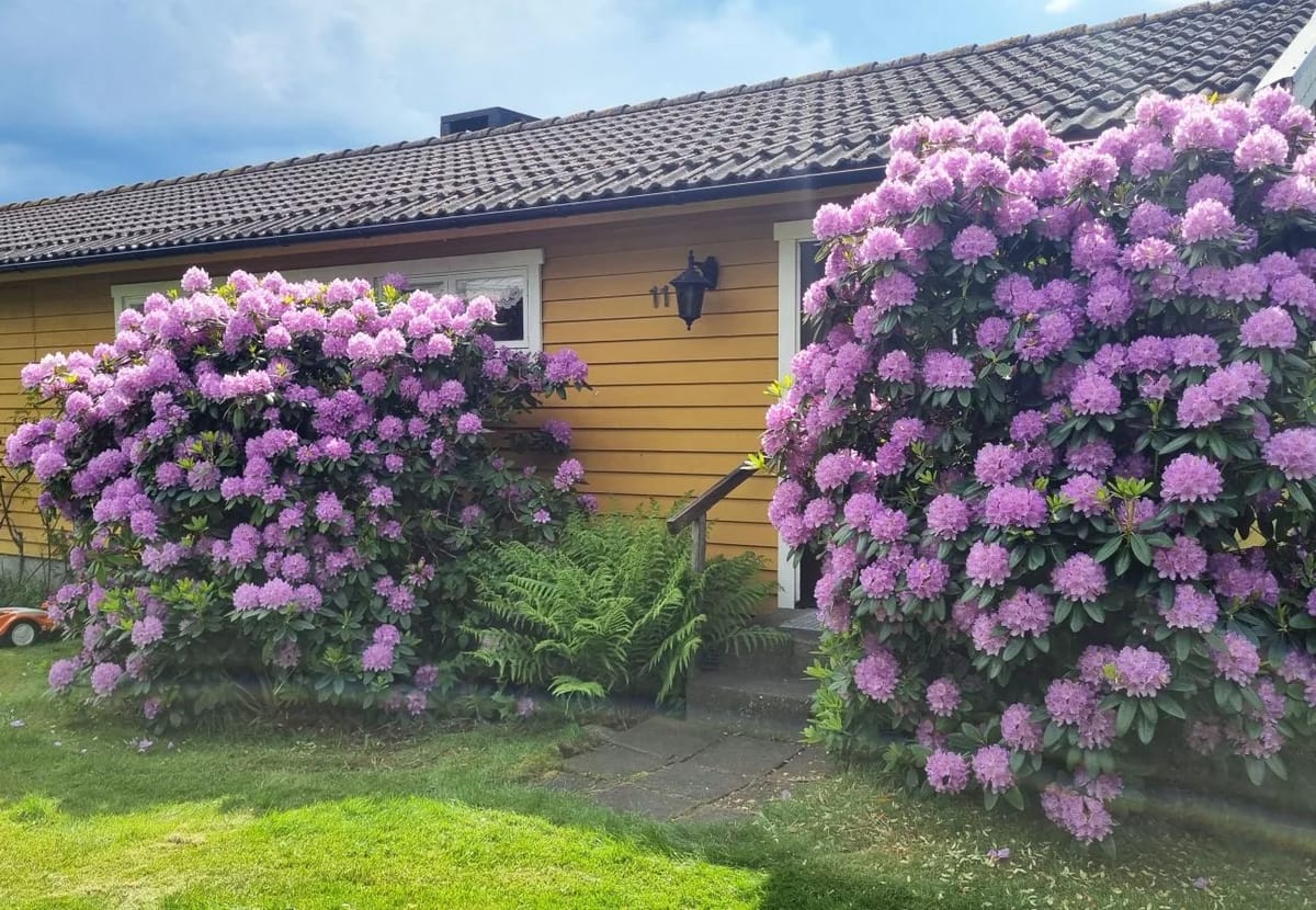 Casa en Åsa - Casa de campo de ensueño junto al mar en Frillesås |SE02120