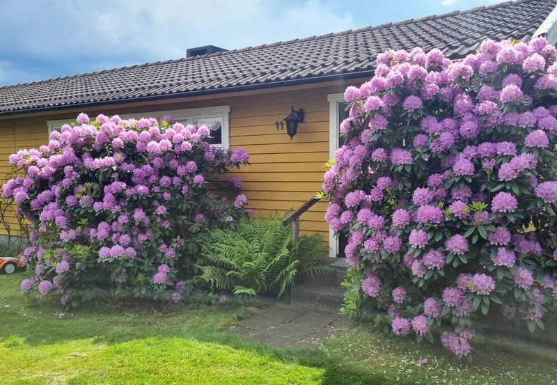 Casa en Åsa - Casa de campo de ensueño junto al mar en Frillesås |SE02120