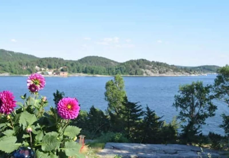 Casa en Svanesund - Vistas al mar y a 100 m del mar en Svanesund | SE09137