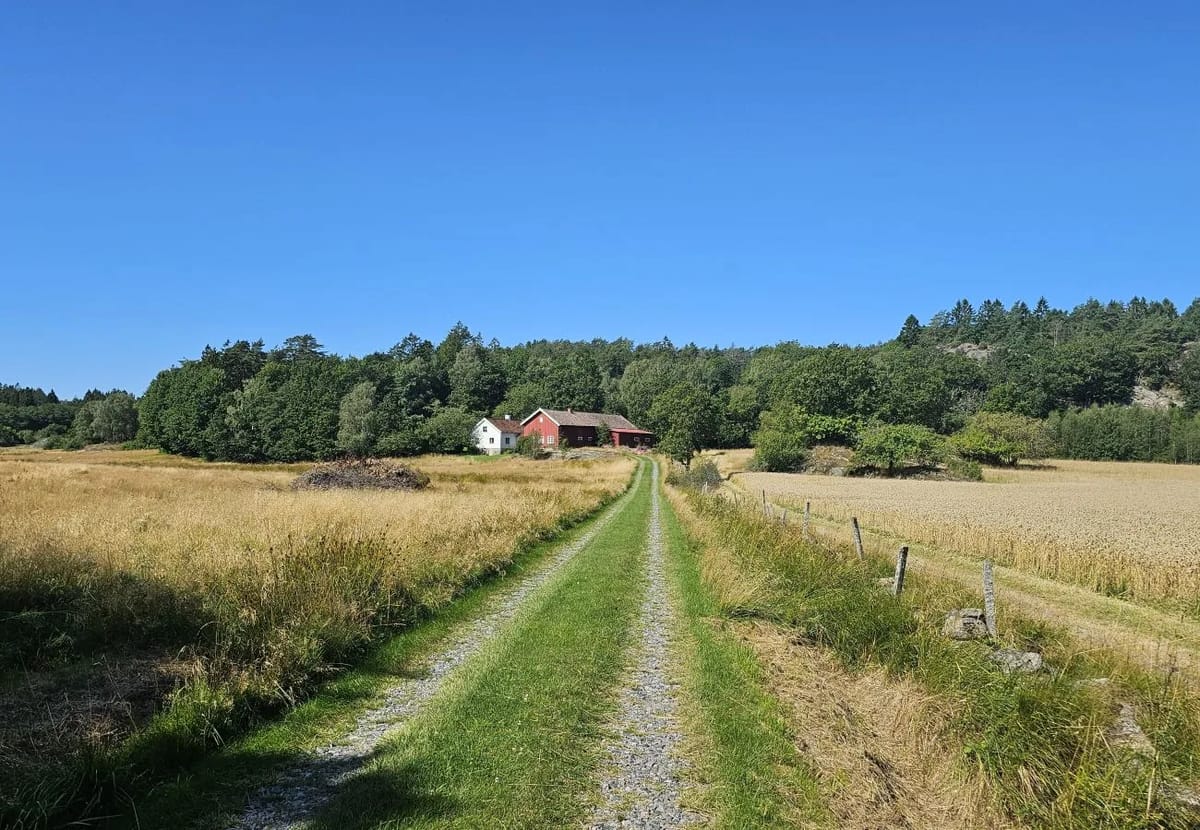 House in Henån - Cottage surrounded by peaceful nature in Tegneby | SE09146