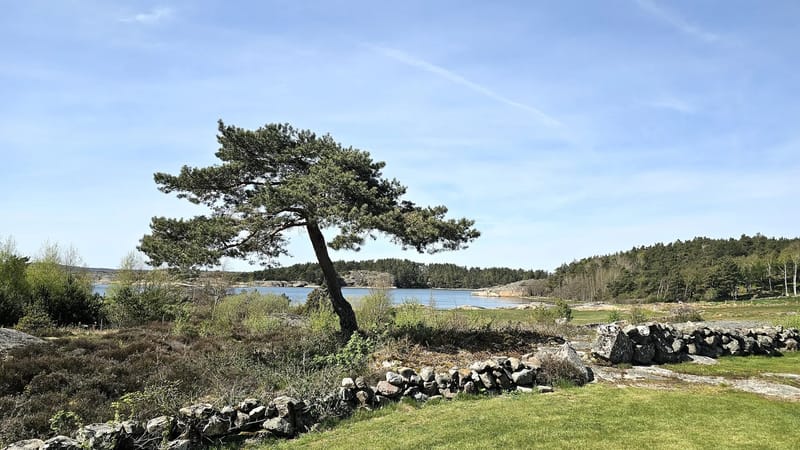 Casa en Varekil - Paraíso vacacional junto al mar en Rossön, Orust | SE09126