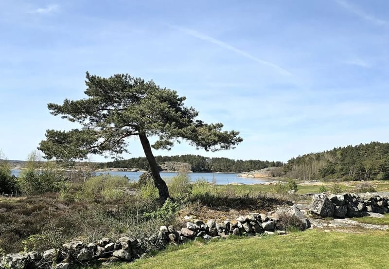 Casa en Varekil - Paraíso vacacional junto al mar en Rossön, Orust | SE09126