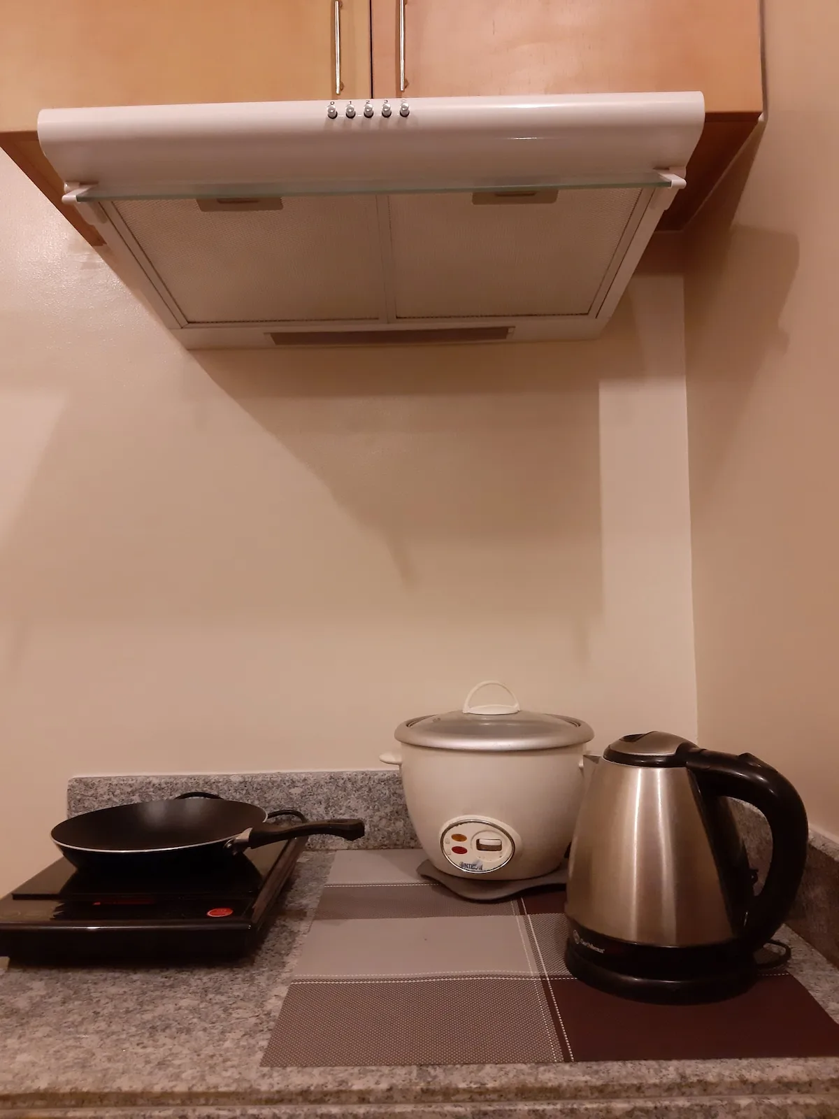 Zona de cocina con una placa, una arrocera y un hervidor eléctrico.