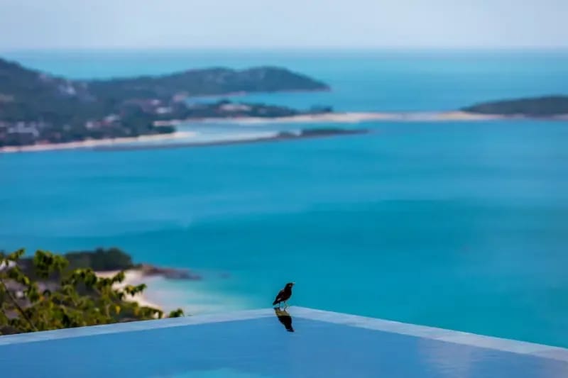 Villa Love · 3BR Infinity Pool & Seaview, Chaweng Noi — photo 3