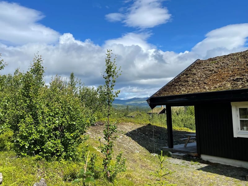 Linnaeus Hytte På Ål I Hallingdal (3)