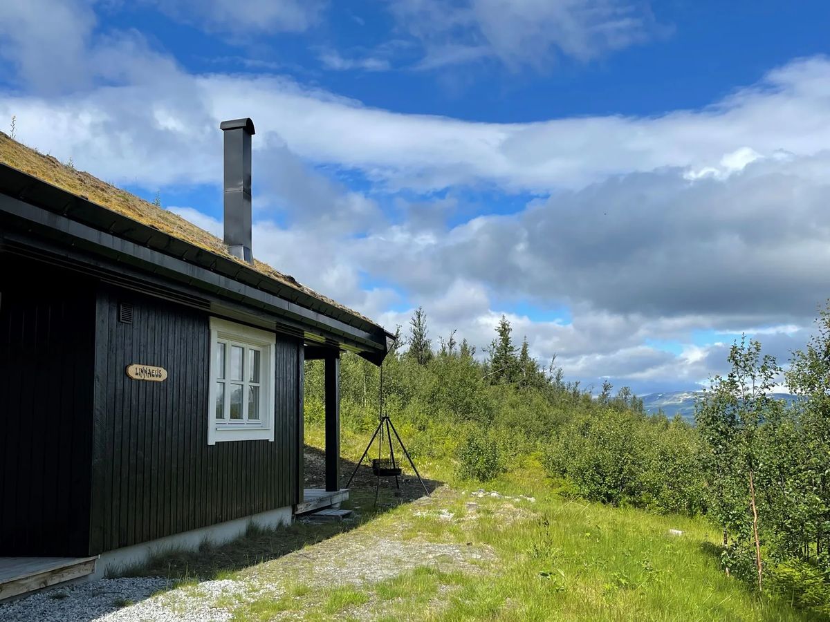 Linnaeus Hytte På Ål I Hallingdal (2)