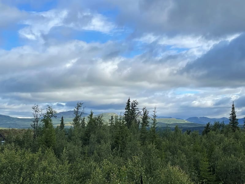 Linnaeus Hytte På Ål I Hallingdal (6)