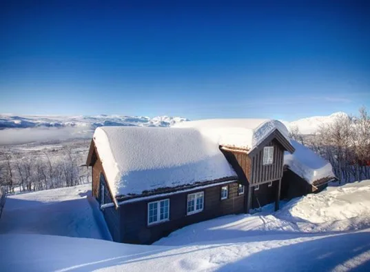 Annestova vinter.JPG