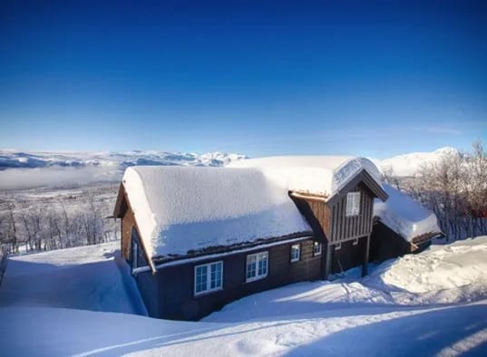 Annestova vinter.JPG