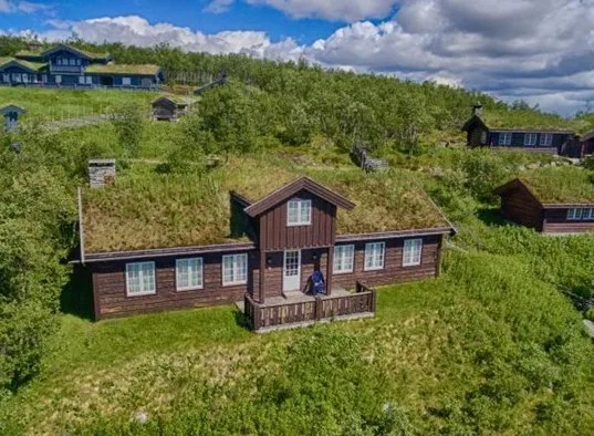 annestova_cabin.jpeg
