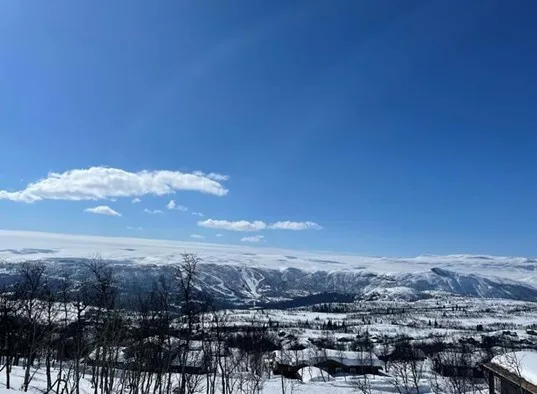 Annestova 26