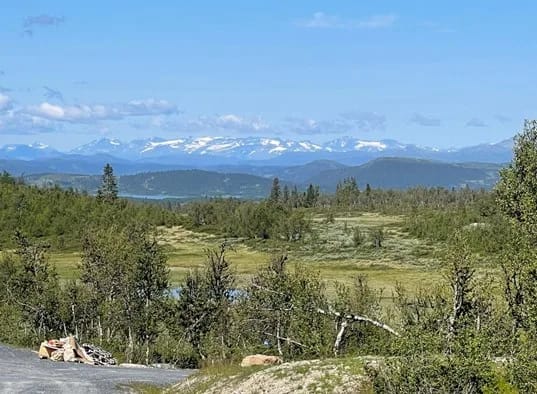 Hedda Lenningen Valdres (3)