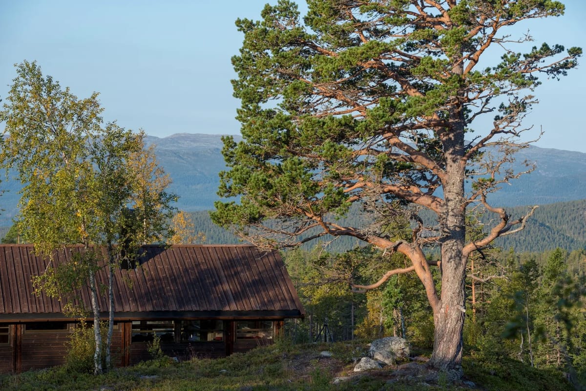 Sørbølhytta 22