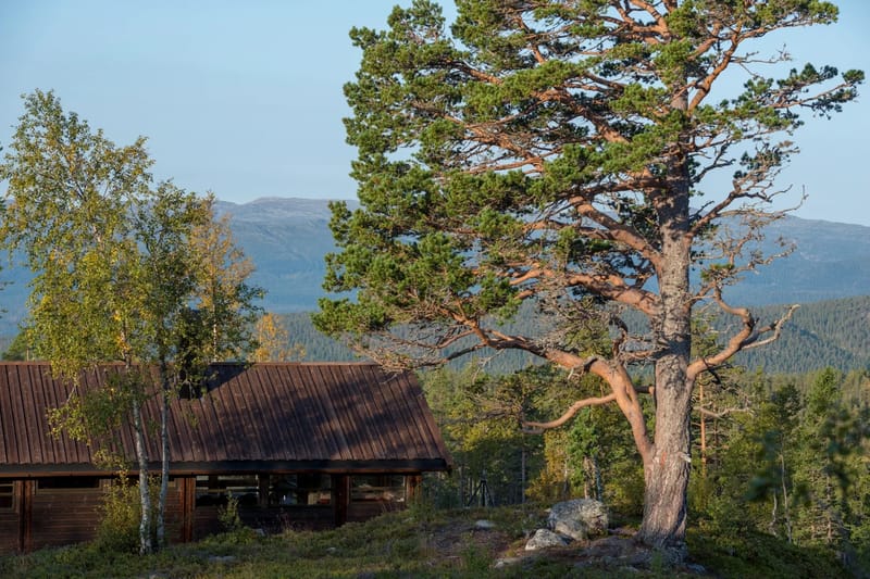 Sørbølhytta 22