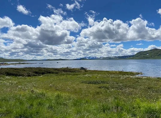 Actif 318 Apartamento en Ål, en Hallingdal (20)