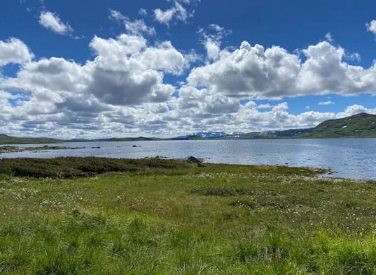 Actif 318 Apartamento en Ål, en Hallingdal (20)