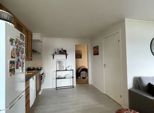 Solbakken Øst Leilihget I Ålseund (8)