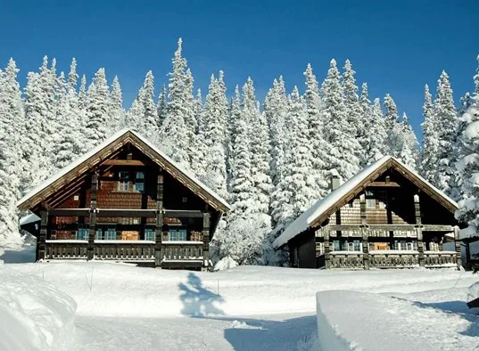 Snow-covered cabins stand in a clearing beneath a forest of snowy trees.