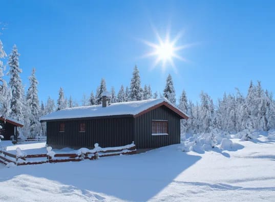 Granbu Vinter Med Sol