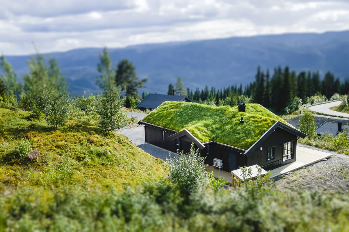 Hytte Chill I Valdres (1)