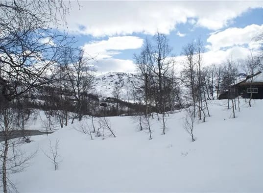 zOpt_UTSIKT FRA TERRASSE (2).jpeg
