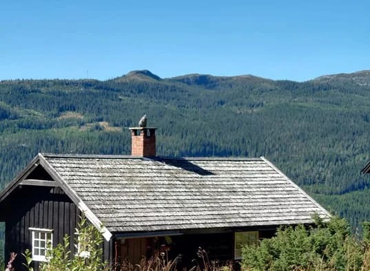 Stallen Hytte I Valdres (28)