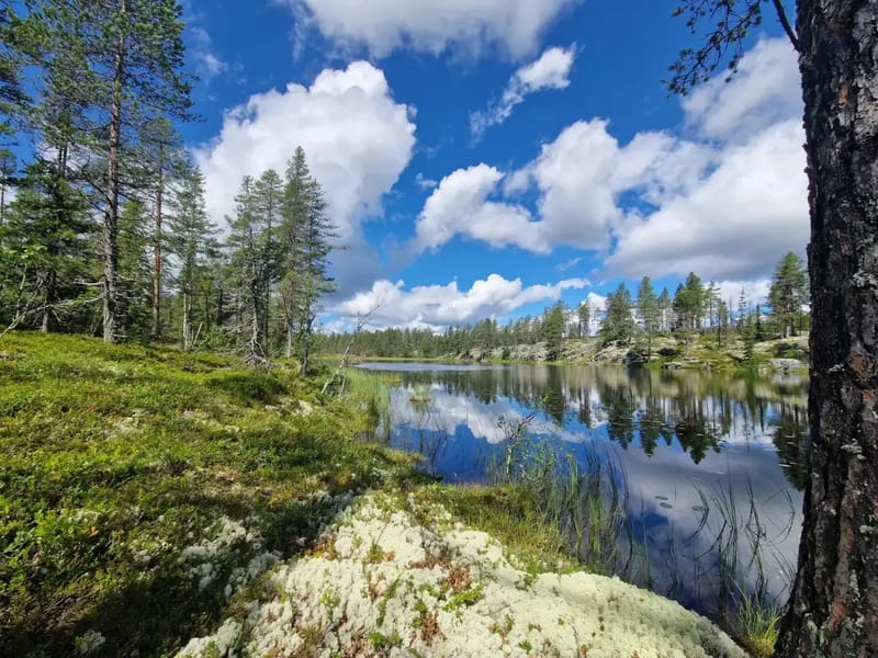 Stallen Hytte I Valdres (29)