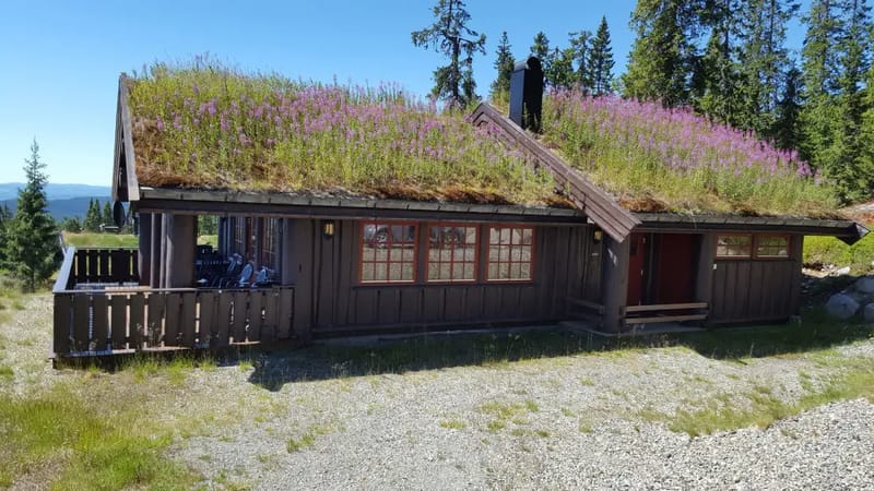 Berghstua Natrudstilen hytte