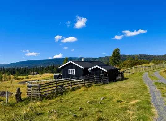 Einkjerrbu Blå Himmel