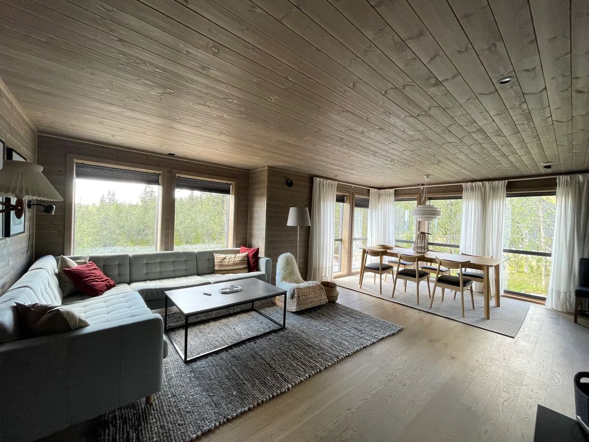 Bjørkebo, cabaña en alquiler en Ål, Hallingdal (21)