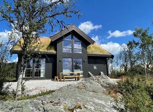 Bjørkebo, cabaña en alquiler en Ål, Hallingdal (6)