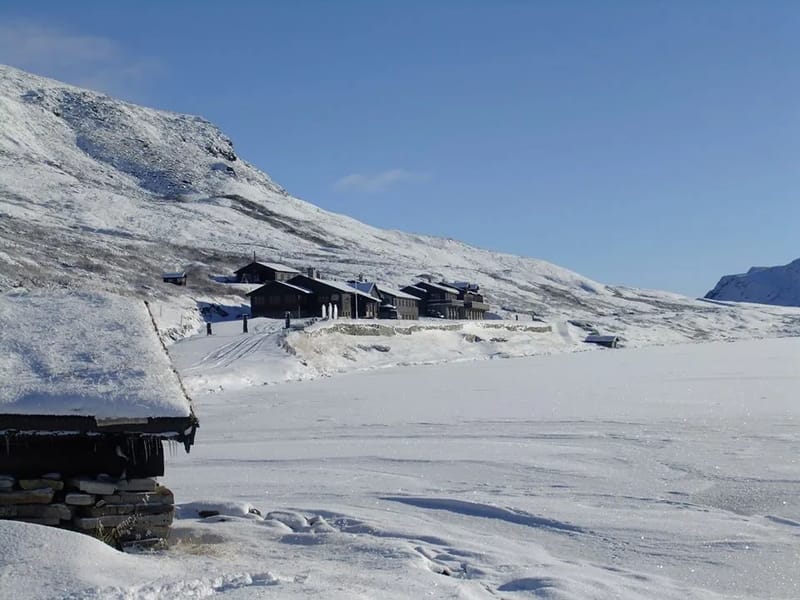 Winter landscape