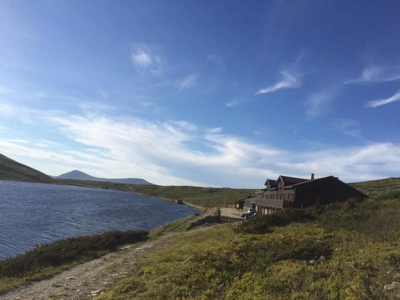 Summer view