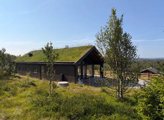 Rabbelia Ål I Hallingdal (1) (1)