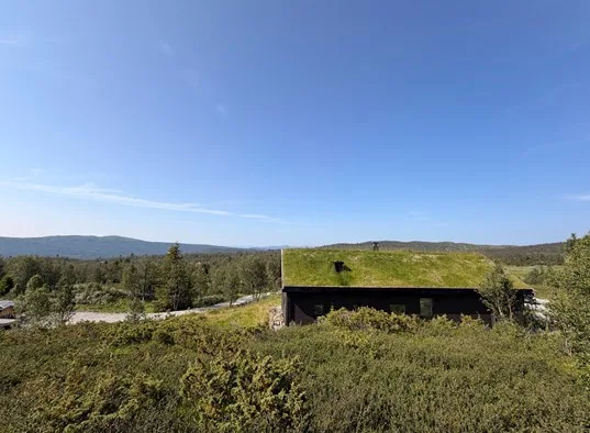 Rabbelia Ål I Hallingdal (9)