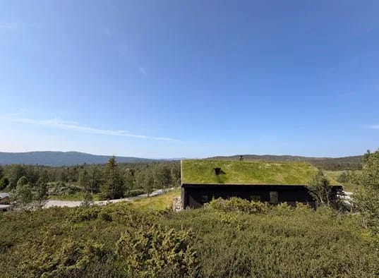 Rabbelia Ål I Hallingdal (9)