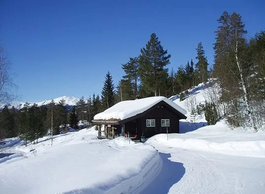 0827012-a.jpg