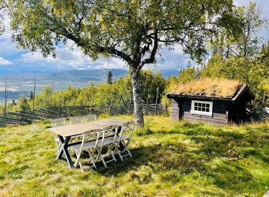 Vasethytta Valdres (40)