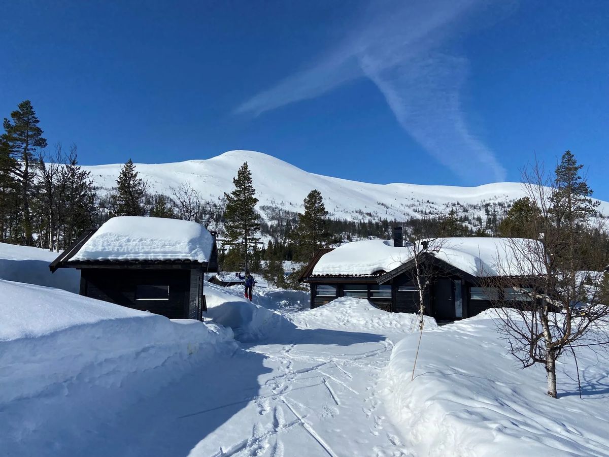 Hito, cabaña en Flå (19)