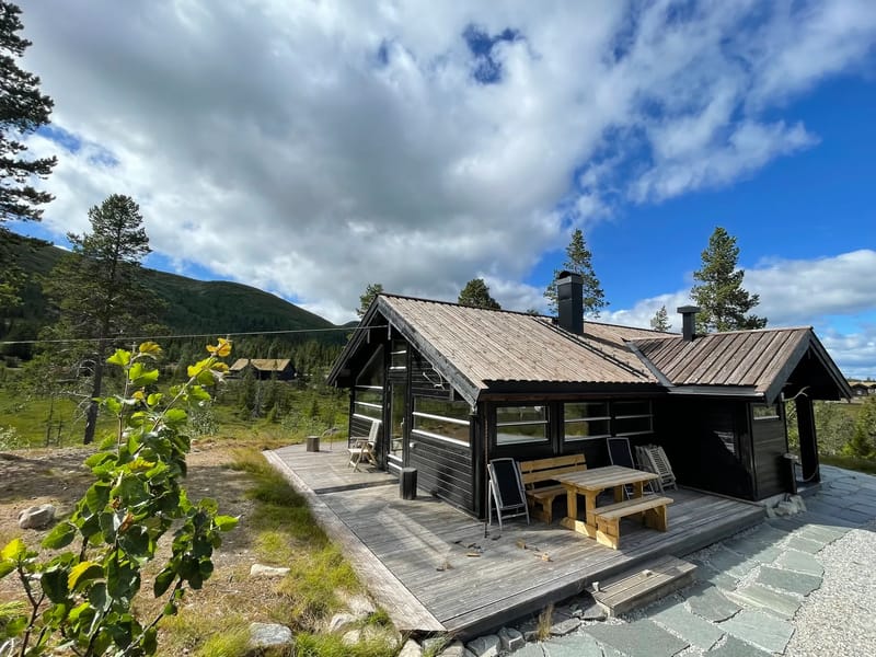 Hito, cabaña en alquiler en Flå (29)