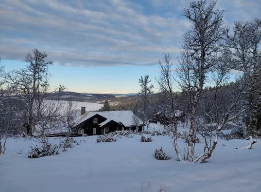 A dark cabin sits in a snowy landscape among bare trees, with hills in the distance.