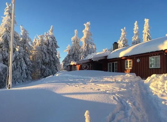 Buhaug 6