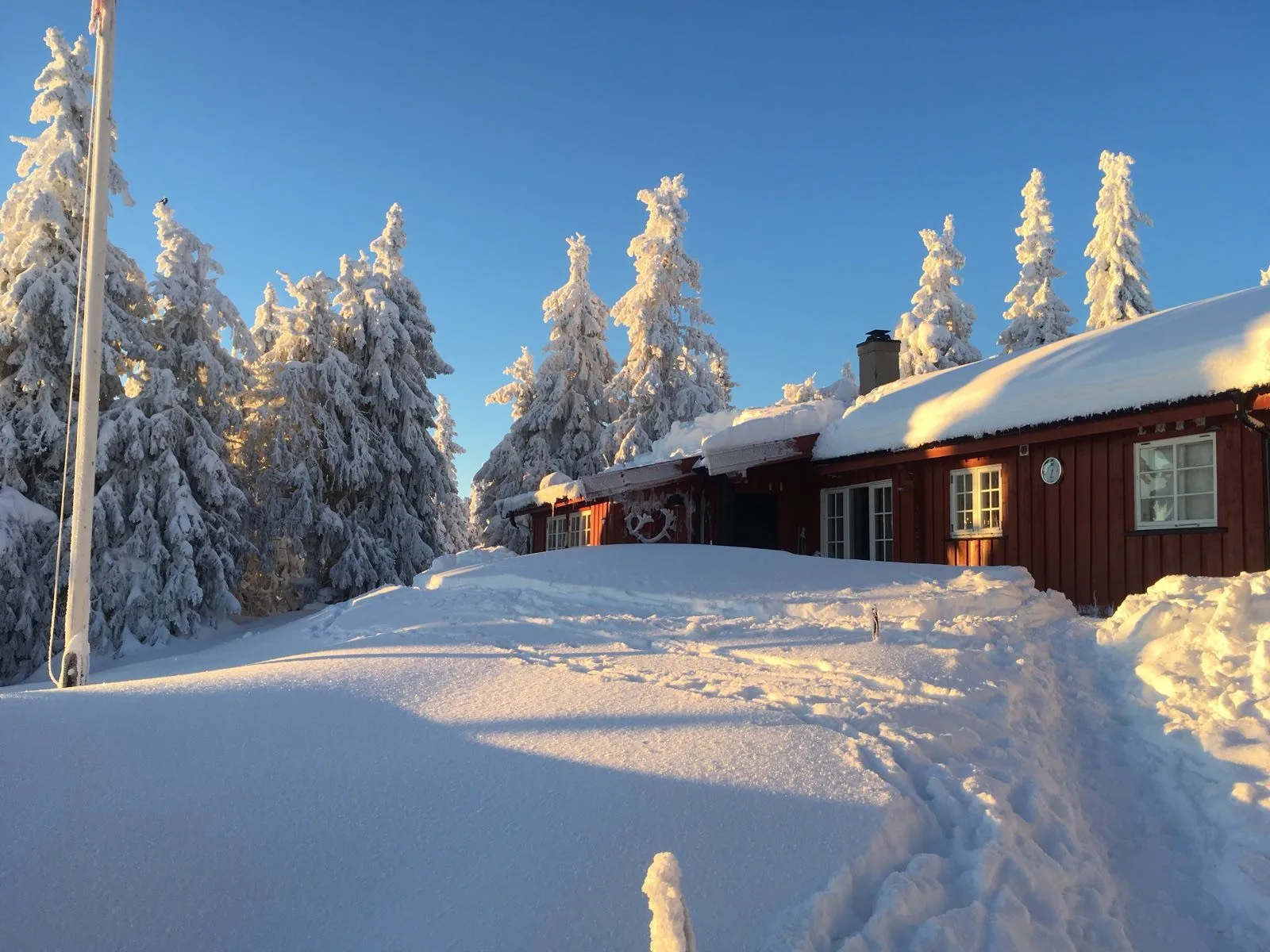 Buhaug hytte
