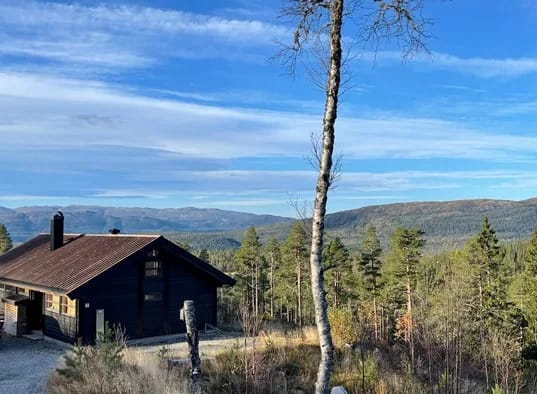 Sveheim Hytte På Sørbølfjellet I Flå (39)