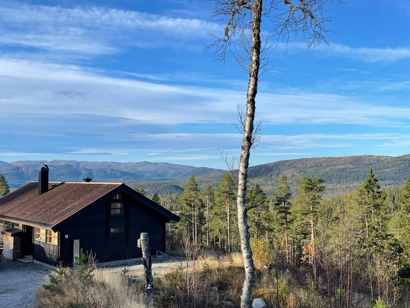 Sveheim Hytte På Sørbølfjellet I Flå (39)